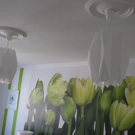 Artrooms *