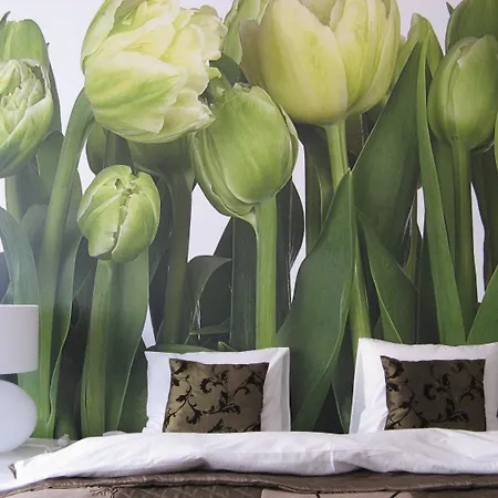 Daire Artrooms